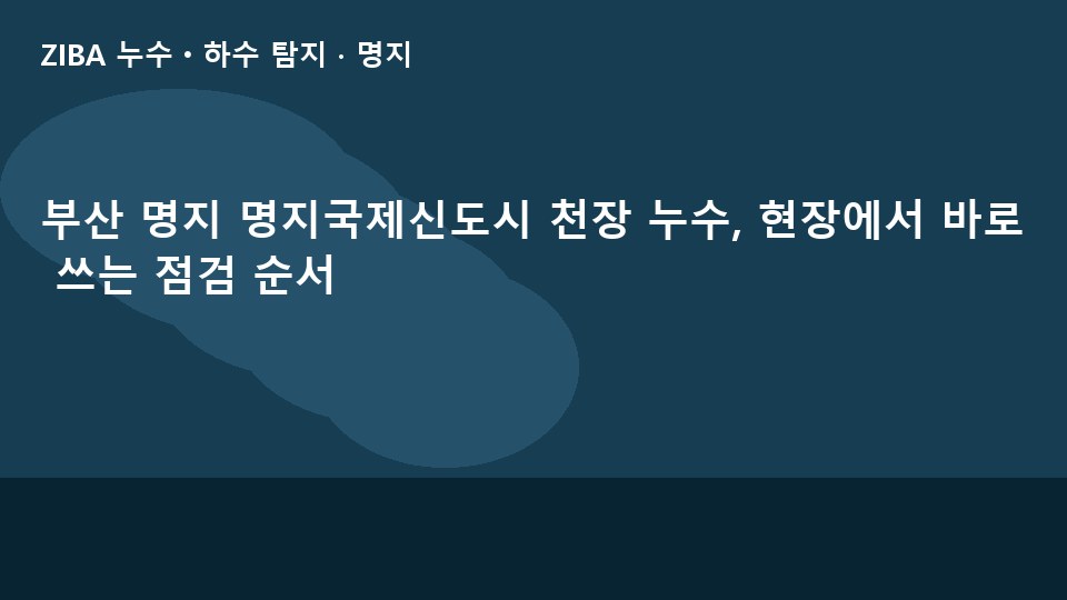 부산 명지 명지국제신도시 천장 누수, 현장에서 바로 쓰는 점검 순서