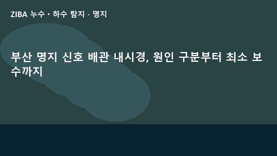 부산 명지 신호 배관 내시경, 원인 구분부터 최소 보수까지