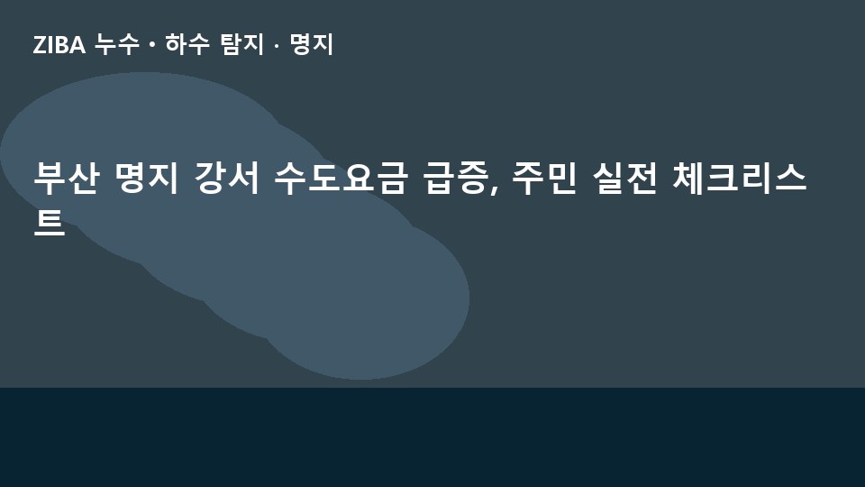 부산 명지 강서 수도요금 급증, 주민 실전 체크리스트