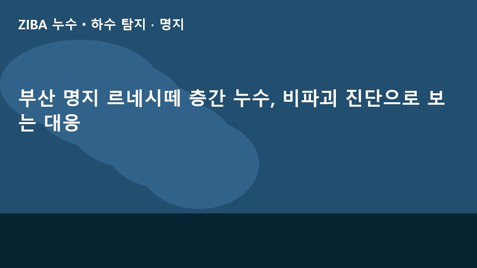 부산 명지 르네시떼 층간 누수, 비파괴 진단으로 보는 대응
