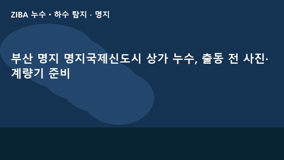 부산 명지 명지국제신도시 상가 누수, 출동 전 사진·계량기 준비