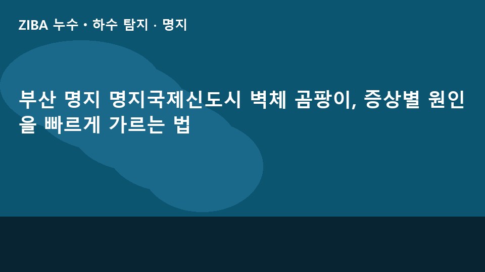 부산 명지 명지국제신도시 벽체 곰팡이, 증상별 원인을 빠르게 가르는 법