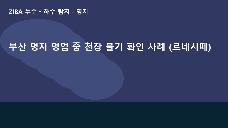 부산 명지 영업 중 천장 물기 확인 사례 (르네시떼)
