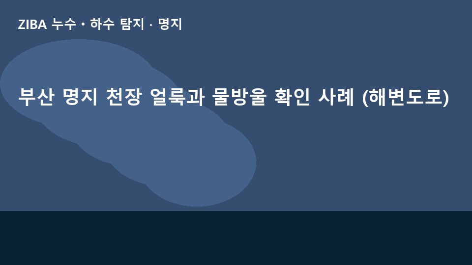 부산 명지 천장 얼룩과 물방울 확인 사례 (해변도로)