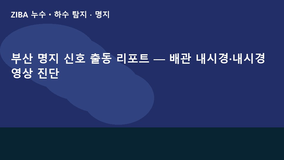 부산 명지 신호 출동 리포트 — 배관 내시경·내시경 영상 진단