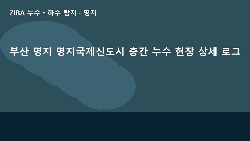 부산 명지 명지국제신도시 층간 누수 현장 상세 로그