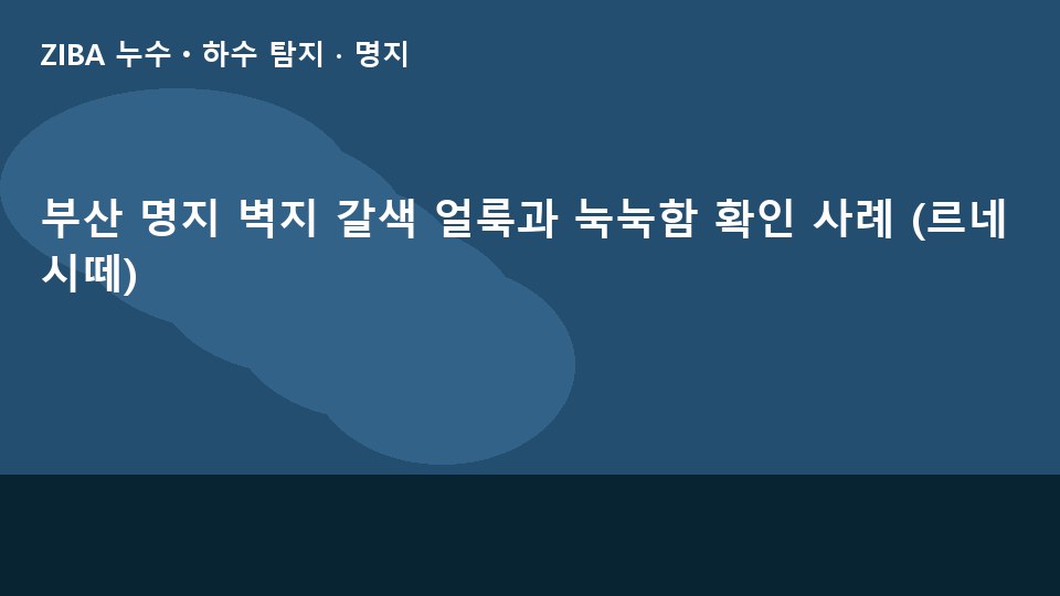부산 명지 벽지 갈색 얼룩과 눅눅함 확인 사례 (르네시떼)