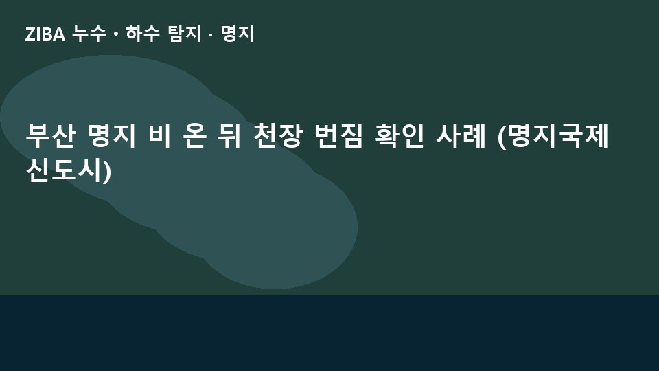 부산 명지 비 온 뒤 천장 번짐 확인 사례 (명지국제신도시)